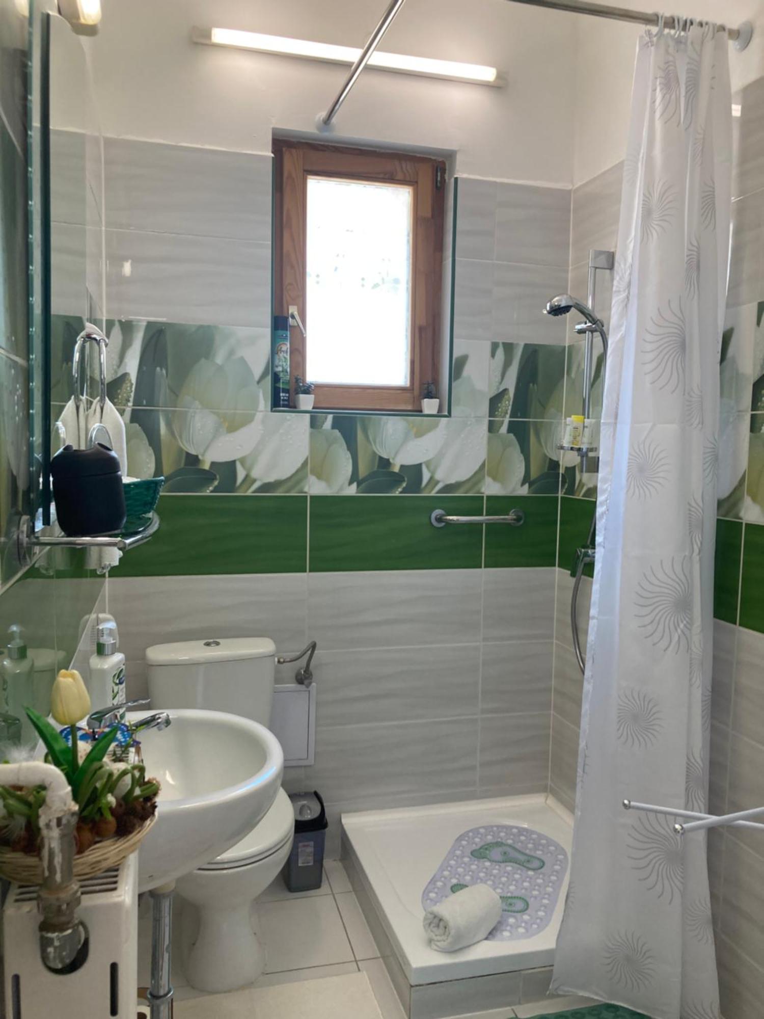 Appartement Tavaszpart Vendeghaz à Szeged Extérieur photo